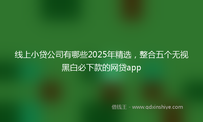 线上小贷公司有哪些2025年精选，整合五个无视黑白必下款的网贷app