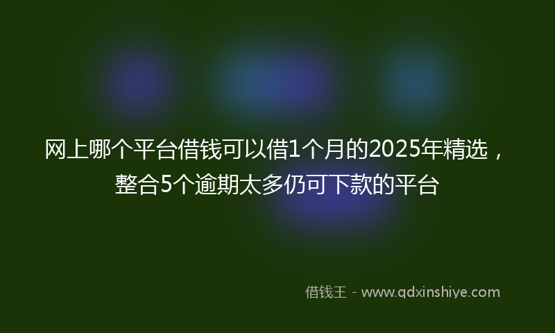 网上哪个平台借钱可以借1个月的2025年精选，整合5个逾期太多仍可下款的平台
