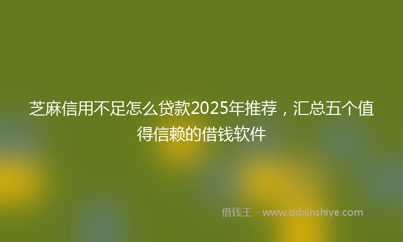 芝麻信用不足怎么贷款2025年推荐，汇总五个值得信赖的借钱软件