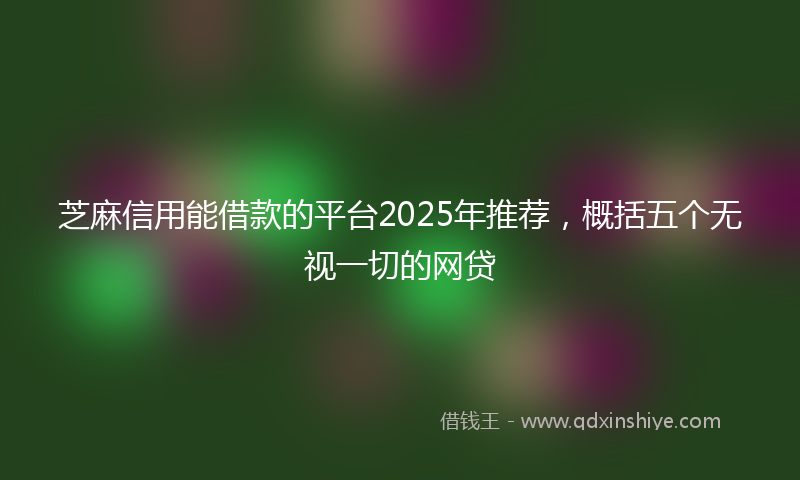 芝麻信用能借款的平台2025年推荐，概括五个无视一切的网贷