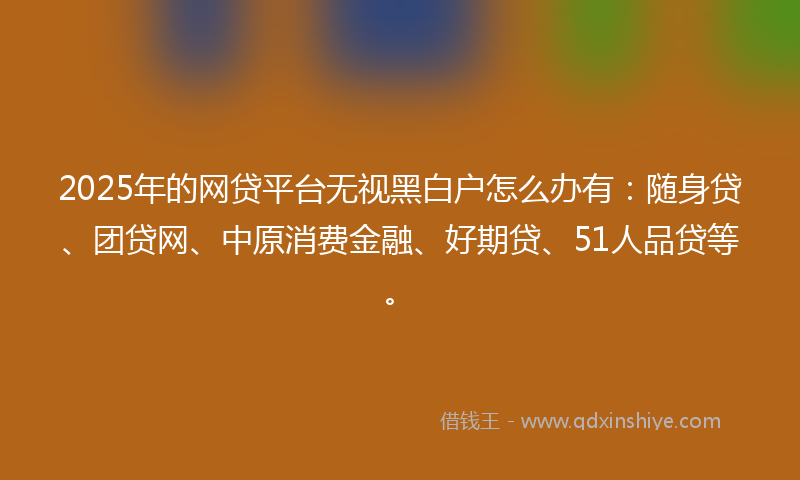 2025年的网贷平台无视黑白户怎么办有：随身贷、团贷网、中原消费金融、好期贷、51人品贷等。