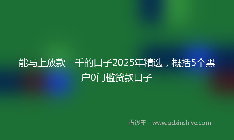 能马上放款一千的口子2025年精选，概括5个黑户0门槛贷款口子