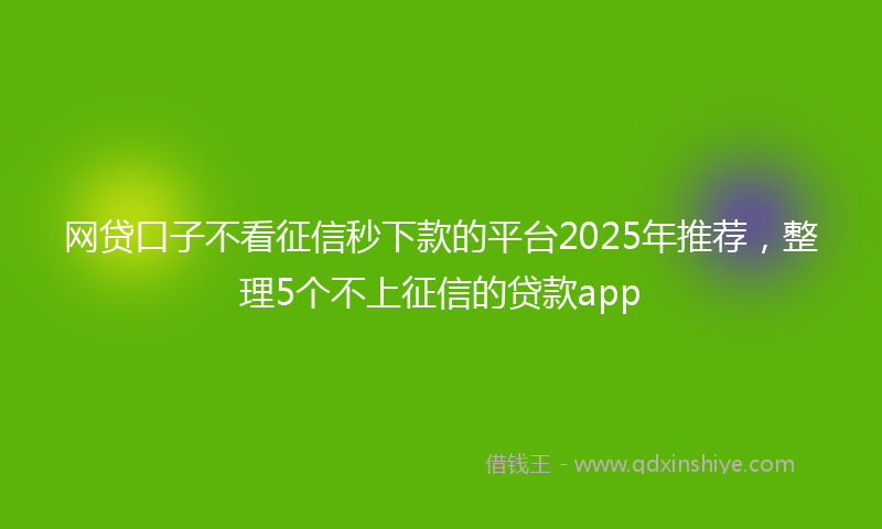 网贷口子不看征信秒下款的平台2025年推荐，整理5个不上征信的贷款app