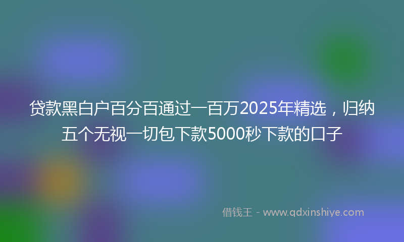 贷款黑白户百分百通过一百万2025年精选，归纳五个无视一切包下款5000秒下款的口子