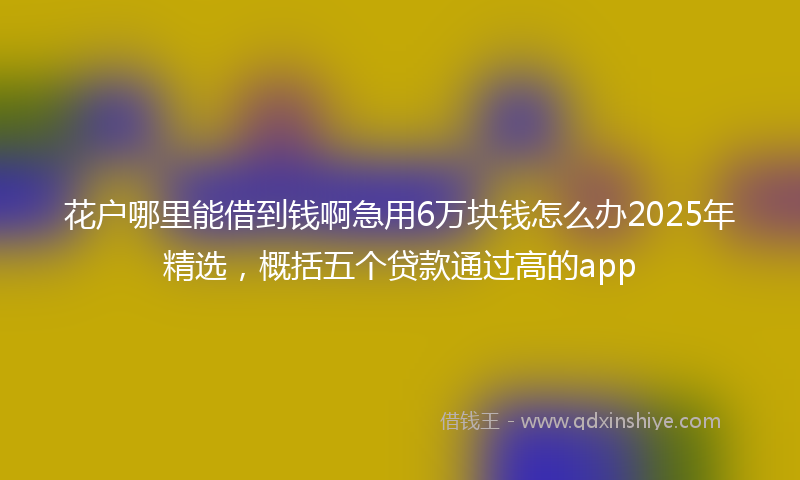 花户哪里能借到钱啊急用6万块钱怎么办2025年精选，概括五个贷款通过高的app