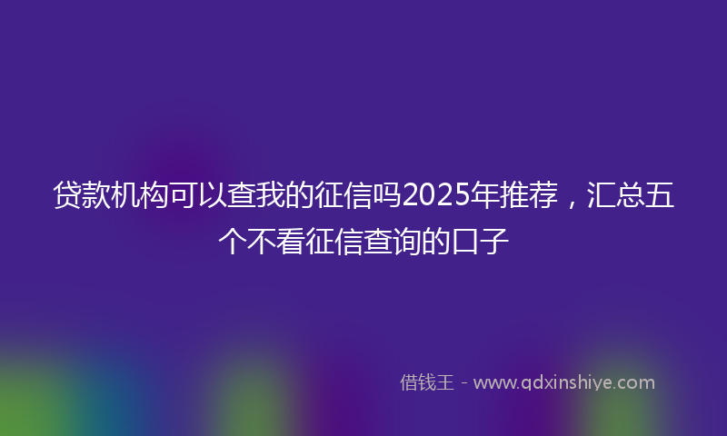 贷款机构可以查我的征信吗2025年推荐，汇总五个不看征信查询的口子