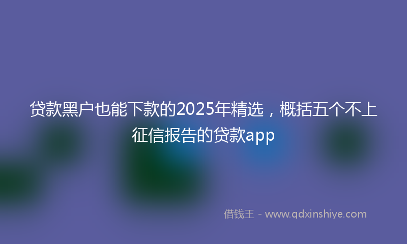 贷款黑户也能下款的2025年精选，概括五个不上征信报告的贷款app