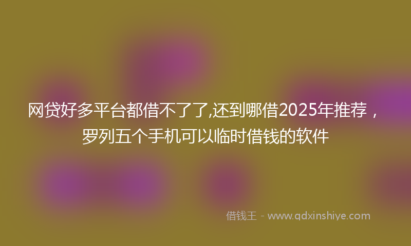 网贷好多平台都借不了了,还到哪借2025年推荐，罗列五个手机可以临时借钱的软件