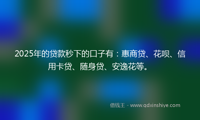 2025年的贷款秒下的口子有：惠商贷、花呗、信用卡贷、随身贷、安逸花等。