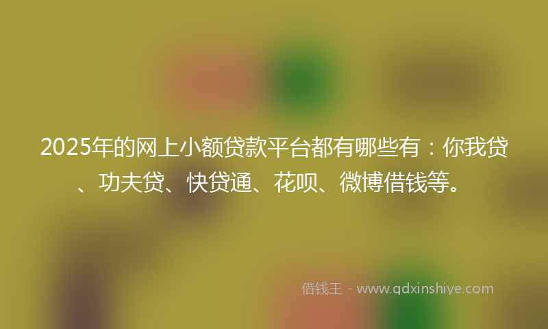 2025年的网上小额贷款平台都有哪些有：你我贷、功夫贷、快贷通、花呗、微博借钱等。