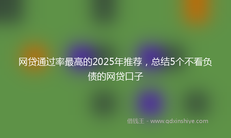 网贷通过率最高的2025年推荐，总结5个不看负债的网贷口子