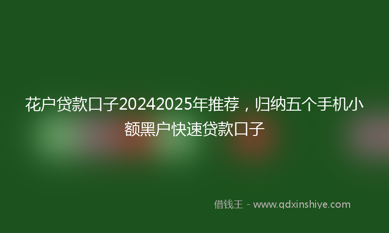 花户贷款口子20242025年推荐，归纳五个手机小额黑户快速贷款口子