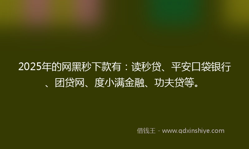2025年的网黑秒下款有：读秒贷、平安口袋银行、团贷网、度小满金融、功夫贷等。