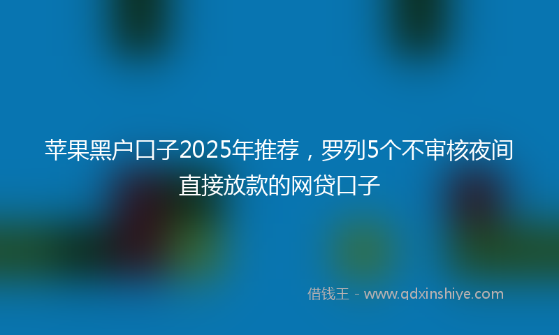 苹果黑户口子2025年推荐，罗列5个不审核夜间直接放款的网贷口子