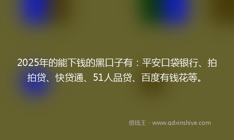 2025年的能下钱的黑口子有：平安口袋银行、拍拍贷、快贷通、51人品贷、百度有钱花等。