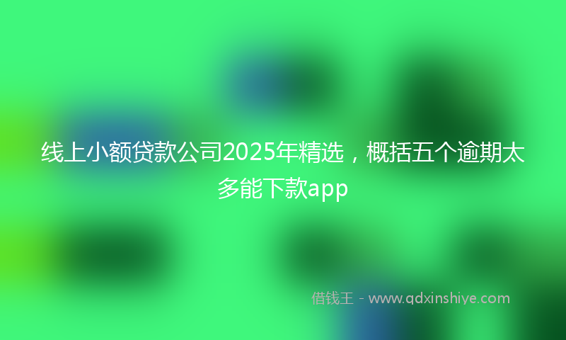 线上小额贷款公司2025年精选，概括五个逾期太多能下款app