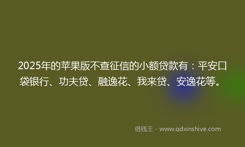 2025年的苹果版不查征信的小额贷款有：平安口袋银行、功夫贷、融逸花、我来贷、安逸花等。
