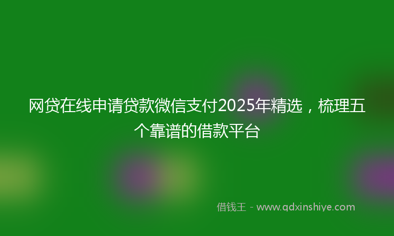 网贷在线申请贷款微信支付2025年精选，梳理五个靠谱的借款平台