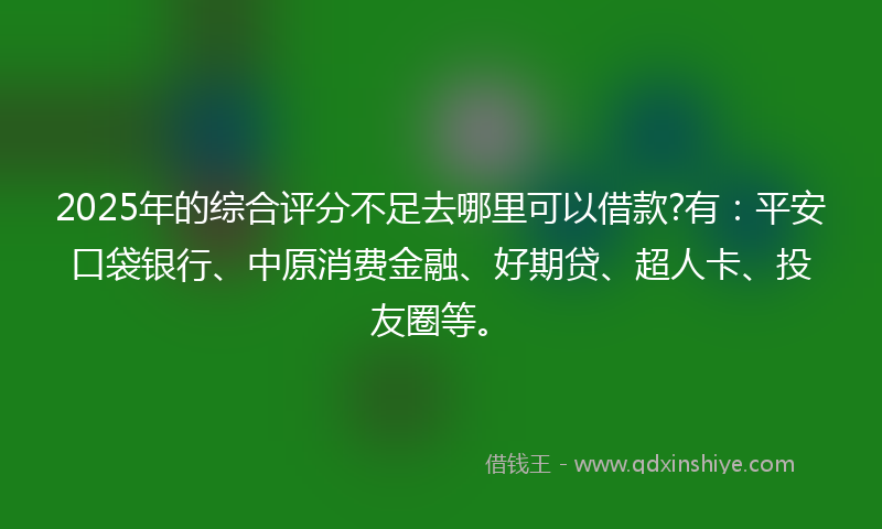 2025年的综合评分不足去哪里可以借款?有：平安口袋银行、中原消费金融、好期贷、超人卡、投友圈等。