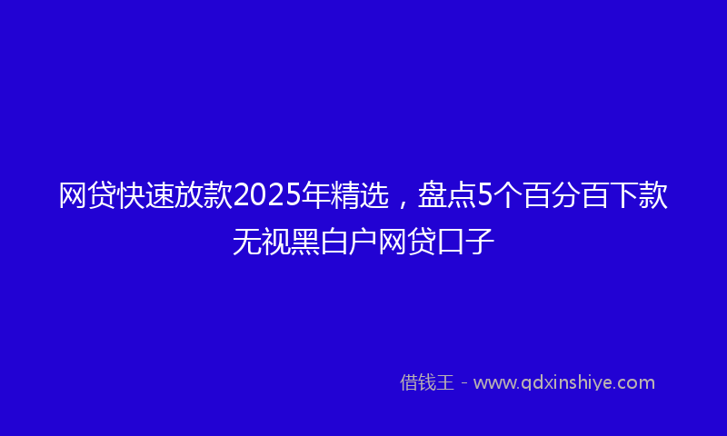 网贷快速放款2025年精选，盘点5个百分百下款无视黑白户网贷口子