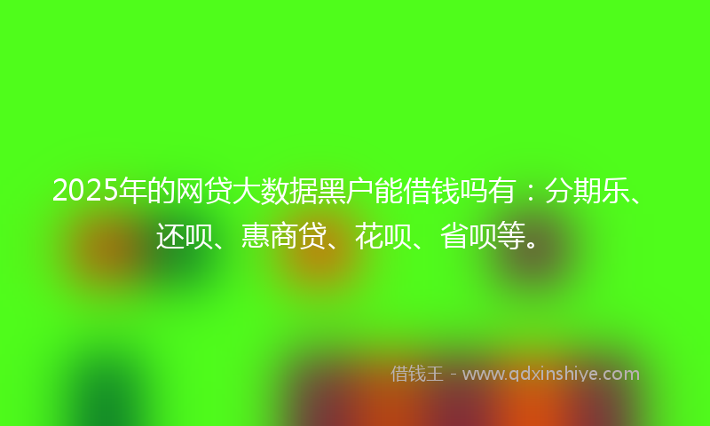 2025年的网贷大数据黑户能借钱吗有：分期乐、还呗、惠商贷、花呗、省呗等。