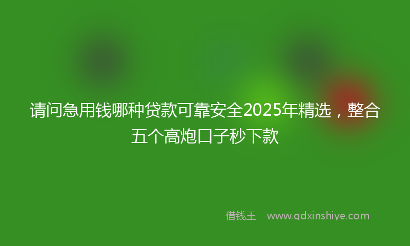 请问急用钱哪种贷款可靠安全2025年精选，整合五个高炮口子秒下款