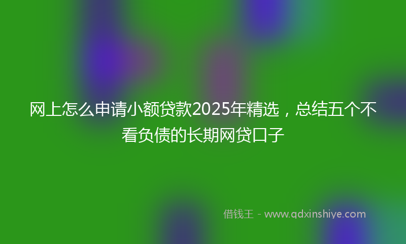网上怎么申请小额贷款2025年精选，总结五个不看负债的长期网贷口子