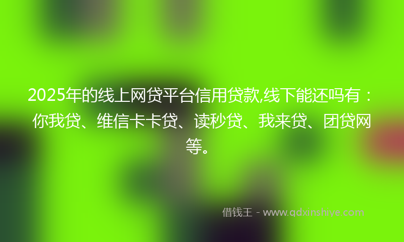 2025年的线上网贷平台信用贷款,线下能还吗有：你我贷、维信卡卡贷、读秒贷、我来贷、团贷网等。
