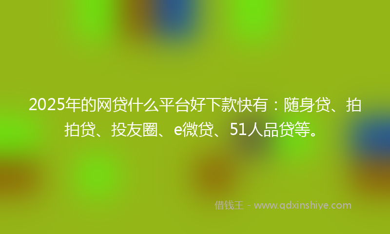 2025年的网贷什么平台好下款快有：随身贷、拍拍贷、投友圈、e微贷、51人品贷等。