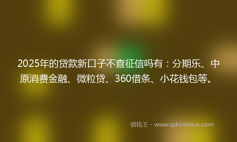 2025年的贷款新口子不查征信吗有：分期乐、中原消费金融、微粒贷、360借条、小花钱包等。