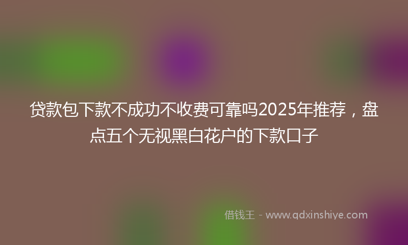贷款包下款不成功不收费可靠吗2025年推荐，盘点五个无视黑白花户的下款口子