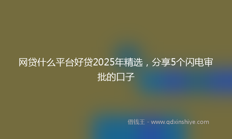 网贷什么平台好贷2025年精选，分享5个闪电审批的口子