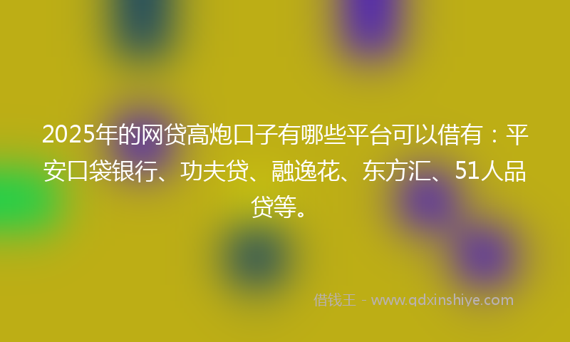 2025年的网贷高炮口子有哪些平台可以借有：平安口袋银行、功夫贷、融逸花、东方汇、51人品贷等。