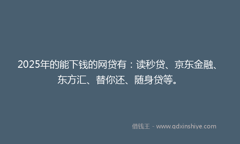 2025年的能下钱的网贷有：读秒贷、京东金融、东方汇、替你还、随身贷等。