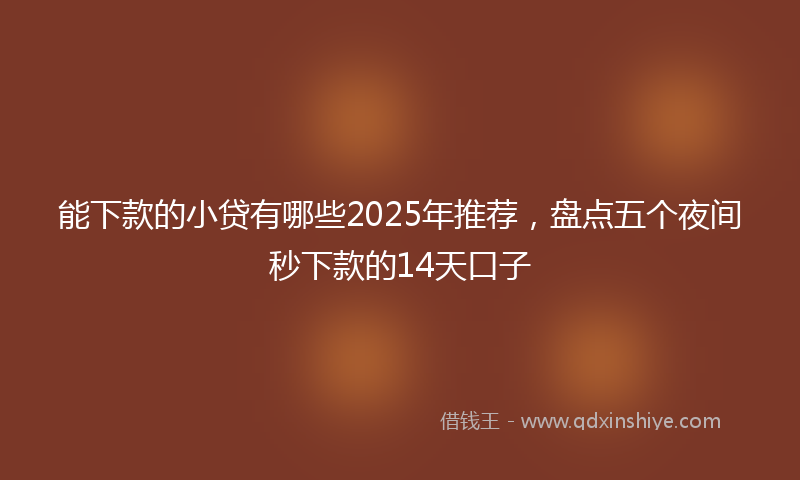 能下款的小贷有哪些2025年推荐，盘点五个夜间秒下款的14天口子