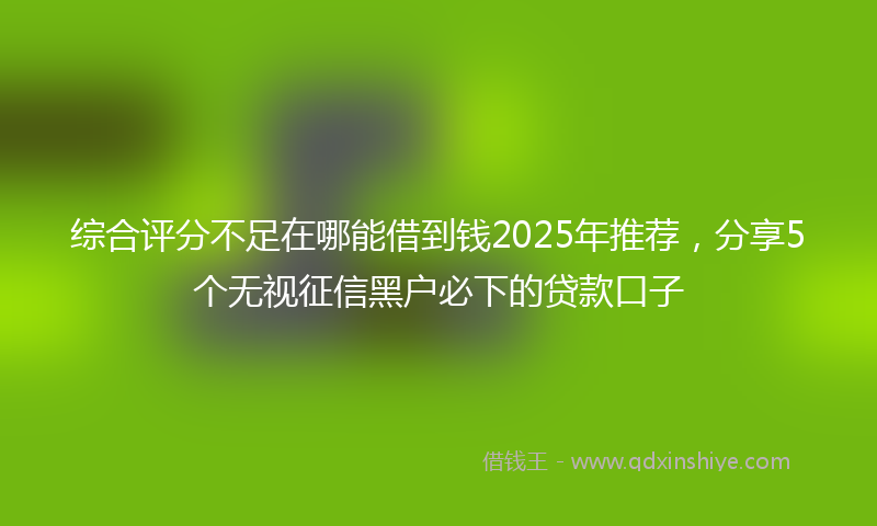 综合评分不足在哪能借到钱2025年推荐，分享5个无视征信黑户必下的贷款口子