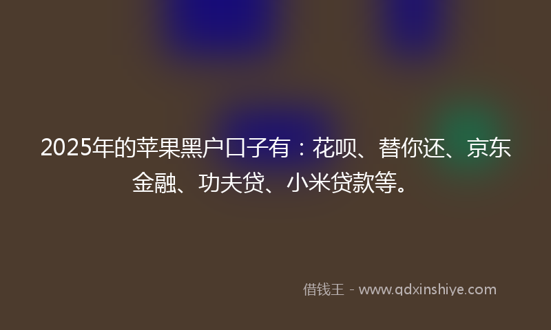 2025年的苹果黑户口子有：花呗、替你还、京东金融、功夫贷、小米贷款等。