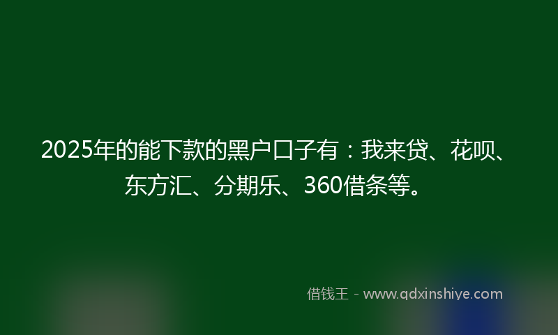 2025年的能下款的黑户口子有：我来贷、花呗、东方汇、分期乐、360借条等。