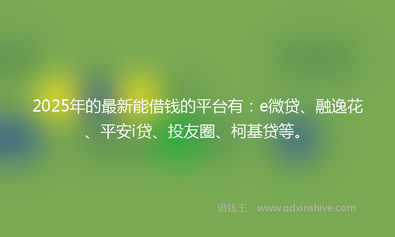 2025年的最新能借钱的平台有：e微贷、融逸花、平安i贷、投友圈、柯基贷等。