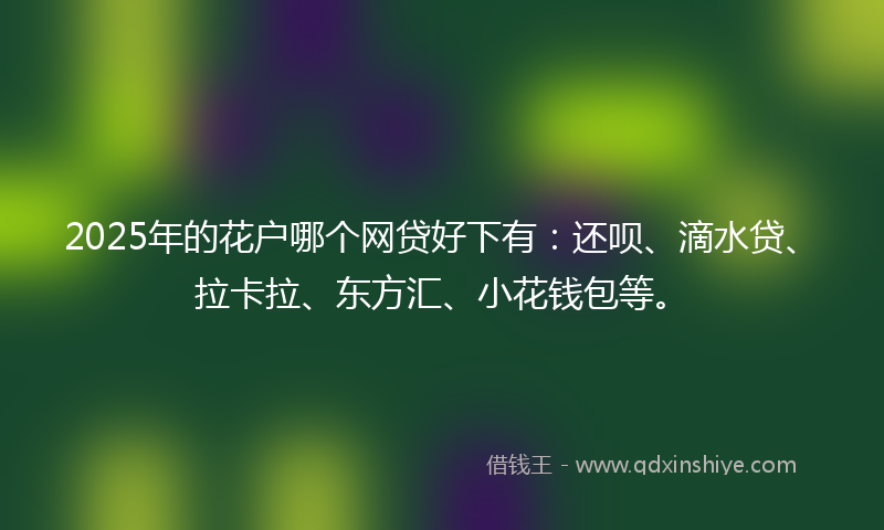 2025年的花户哪个网贷好下有：还呗、滴水贷、拉卡拉、东方汇、小花钱包等。