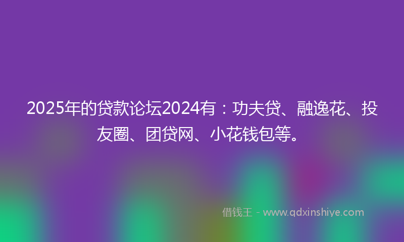 2025年的贷款论坛2024有：功夫贷、融逸花、投友圈、团贷网、小花钱包等。