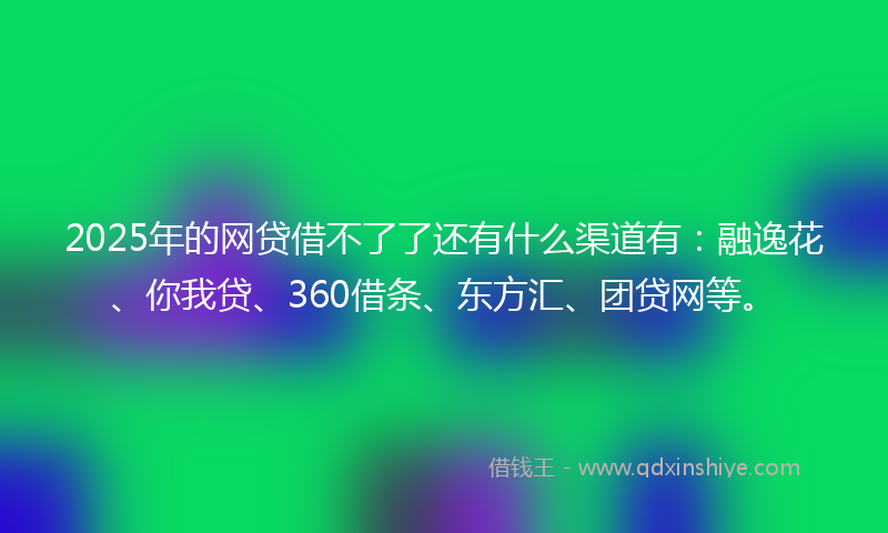 2025年的网贷借不了了还有什么渠道有：融逸花、你我贷、360借条、东方汇、团贷网等。