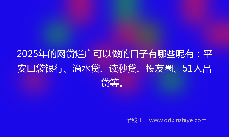2025年的网贷烂户可以做的口子有哪些呢有：平安口袋银行、滴水贷、读秒贷、投友圈、51人品贷等。