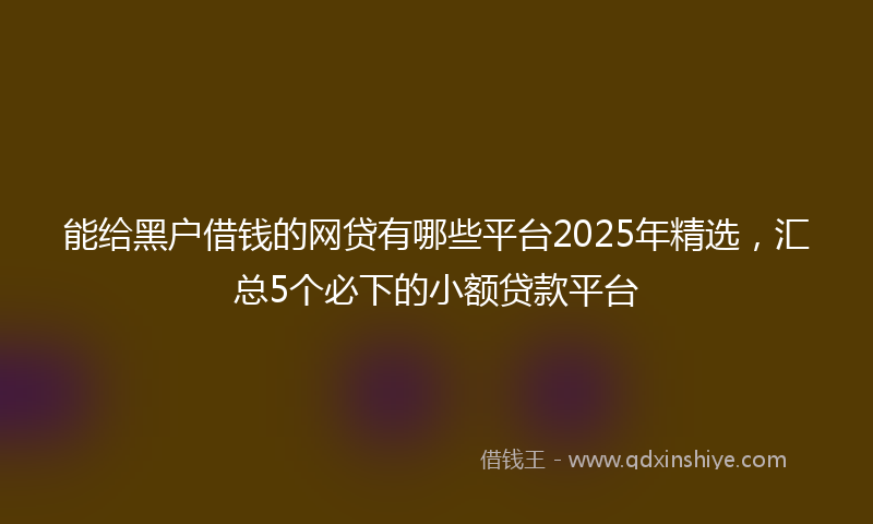 能给黑户借钱的网贷有哪些平台2025年精选，汇总5个必下的小额贷款平台