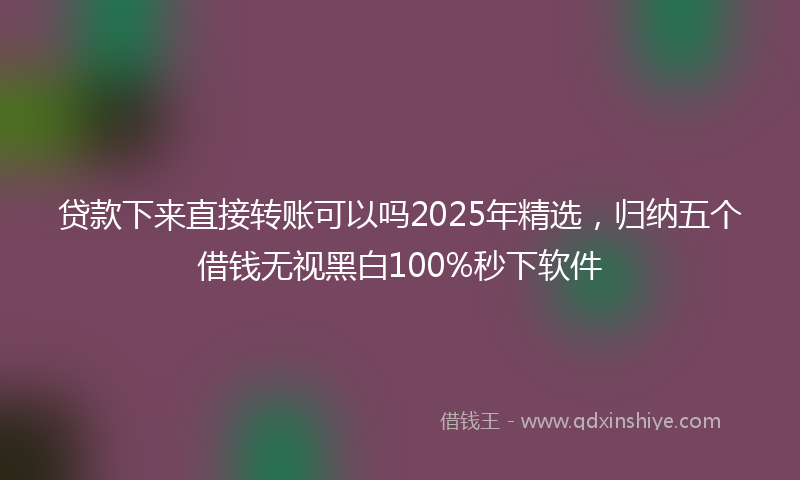 贷款下来直接转账可以吗2025年精选，归纳五个借钱无视黑白100%秒下软件