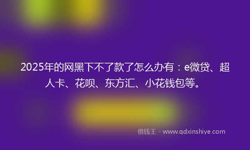 2025年的网黑下不了款了怎么办有：e微贷、超人卡、花呗、东方汇、小花钱包等。