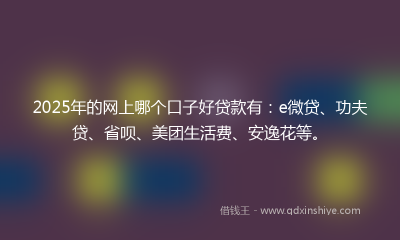 2025年的网上哪个口子好贷款有：e微贷、功夫贷、省呗、美团生活费、安逸花等。