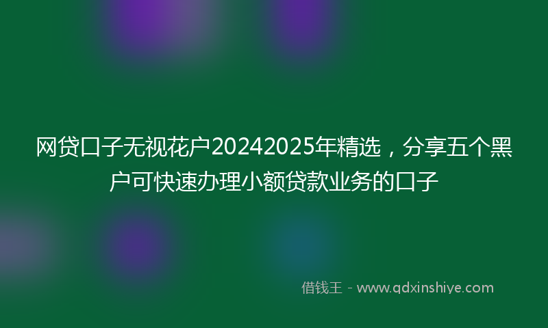网贷口子无视花户20242025年精选，分享五个黑户可快速办理小额贷款业务的口子
