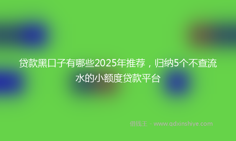 贷款黑口子有哪些2025年推荐，归纳5个不查流水的小额度贷款平台