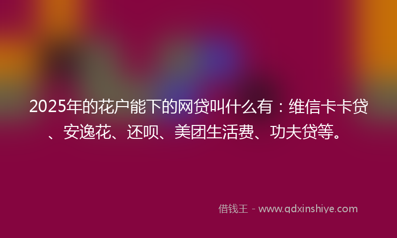 2025年的花户能下的网贷叫什么有：维信卡卡贷、安逸花、还呗、美团生活费、功夫贷等。